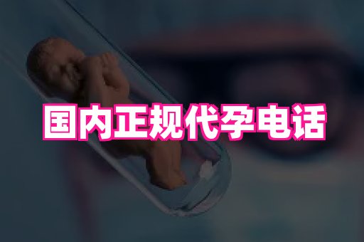 swisee孕网 3